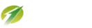 日本維新の会